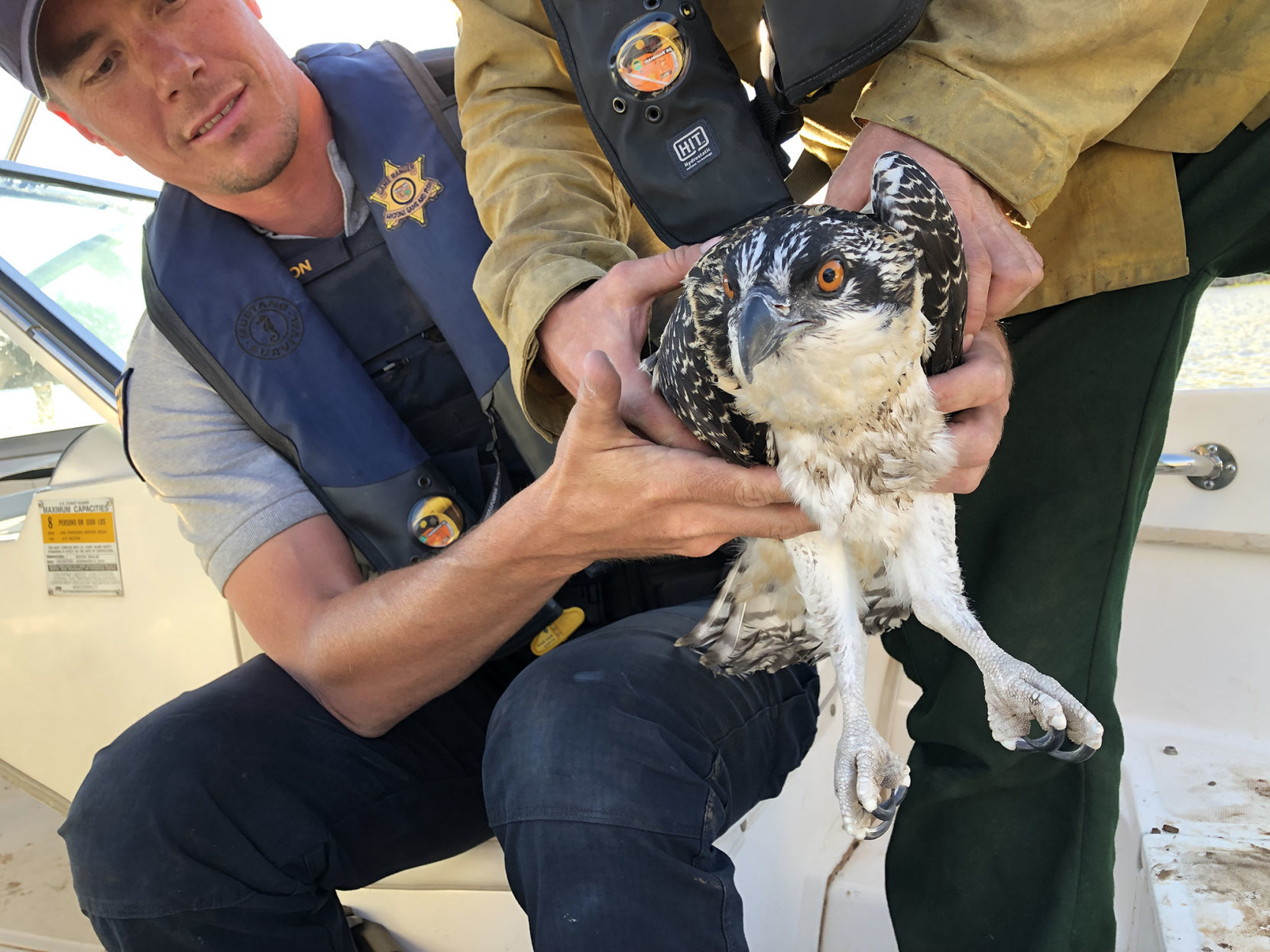 Osprey Evacuation